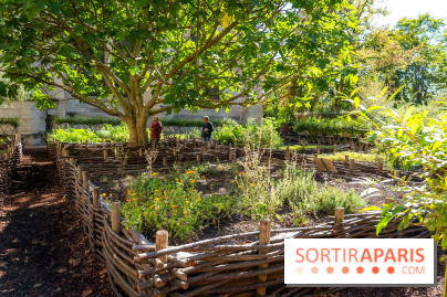 Les spectacles du dimanche de l'Abbaye de Royaumont dans le Val-d'Oise - A7C08415