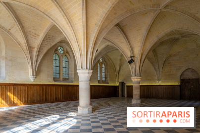 Les spectacles du dimanche de l'Abbaye de Royaumont dans le Val-d'Oise - A7C08414 HDR
