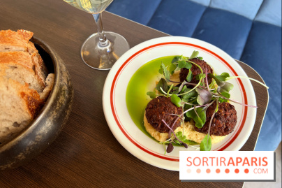 Comptoir Lazu - Falafels de lentilles, houmous