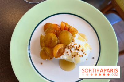 Comptoir Lazu - Fontainebleau mirabelles