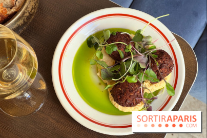 Comptoir Lazu - Falafels de lentilles, houmous