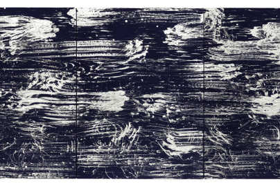 Cité de l'architecture et du patrimoine : expositions contemporaines du 22 octobre 2025 au 16 février 2026 - 4  Vide vibration numéro 7