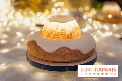 la Bûche de Noêl du Mandarin Oriental Lutetia aux Lumières de Paris - A7C08062