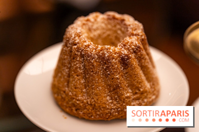 la Bûche de Noêl du Mandarin Oriental Lutetia aux Lumières de Paris - A7C08077