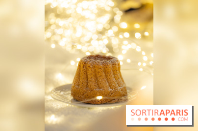 la Bûche de Noêl du Mandarin Oriental Lutetia aux Lumières de Paris