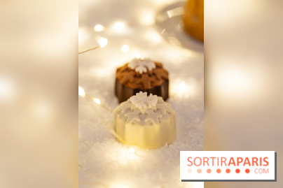 la Bûche de Noêl du Mandarin Oriental Lutetia aux Lumières de Paris - A7C08084