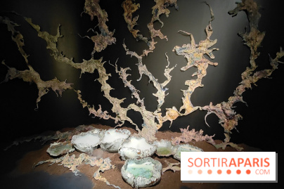 Voir la mer : une exposition gratuite qui montre un monde chaviré au Maif Social Club - fotor 1759916110052