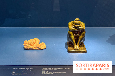 L’Empire du Sommeil : quand le rêve s’expose au Musée Marmottan Monet - IMG 8939