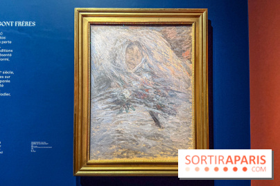 L’Empire du Sommeil : quand le rêve s’expose au Musée Marmottan Monet - IMG 8965