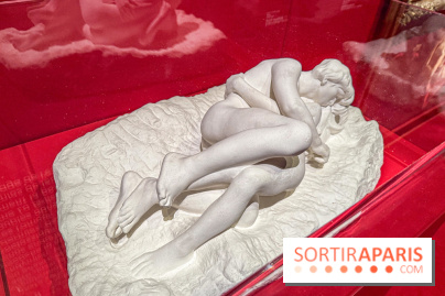 L’Empire du Sommeil : quand le rêve s’expose au Musée Marmottan Monet - IMG 8987