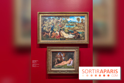 L’Empire du Sommeil : quand le rêve s’expose au Musée Marmottan Monet - IMG 8995