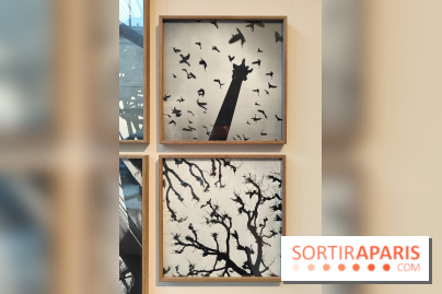 Gaston Paris - L'équilibre du carré : l'exposition photo gratuite de la galerie Roger-Viollet - fotor 1760012037148