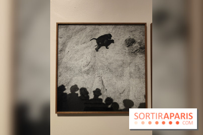 Gaston Paris - L'équilibre du carré : l'exposition photo gratuite de la galerie Roger-Viollet - fotor 1760012156749