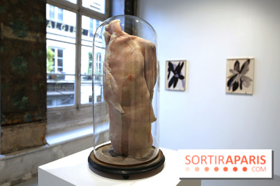 Berlinde De Bruyckere : nos photos de son exposition 'Need' à la Galleria Continua 