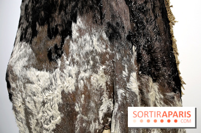 Berlinde De Bruyckere : nos photos de son exposition 'Need' à la Galleria Continua 