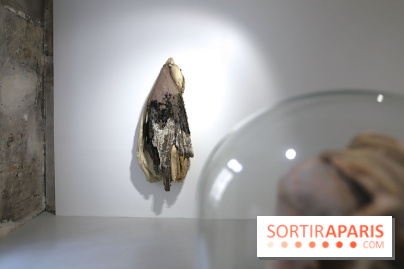 Berlinde De Bruyckere : nos photos de son exposition 'Need' à la Galleria Continua 