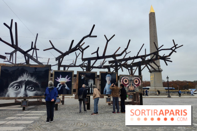 Photoclimat : derniers jours pour la biennale artistique place de la Concorde à Paris - fotor 1760090498070