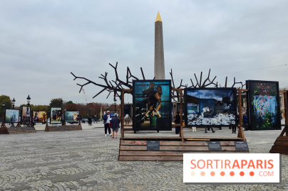 Photoclimat : derniers jours pour la biennale artistique place de la Concorde à Paris