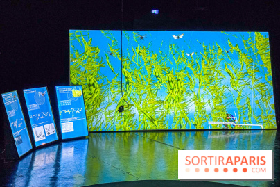 Exposition Les Illusions retrouvées au CENTQUATRE-Paris : les nouvelles utopies de l’ère numérique - IMG 9245