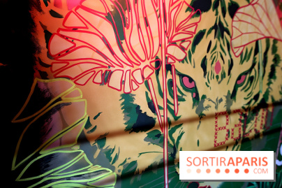 Les Bombasphères investissent le bar Balou à Paris 