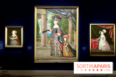 Le Grand Dauphin, fils de roi, père de roi et jamais roi - IMG 6342