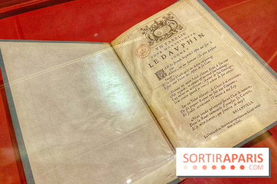 Le Grand Dauphin, fils de roi, père de roi et jamais roi - IMG 6379