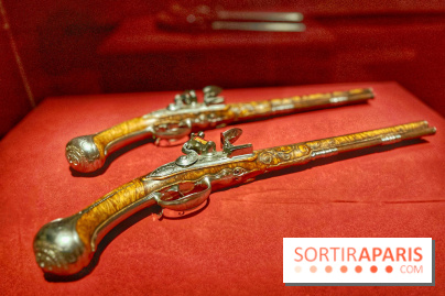 Le Grand Dauphin, fils de roi, père de roi et jamais roi - IMG 6399