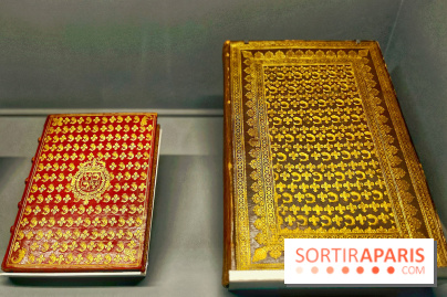 Le Grand Dauphin, fils de roi, père de roi et jamais roi - IMG 6481