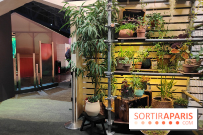 Jardiner : une exposition au cœur de la nature à vivre à la Cité des Sciences et de l'Industrie - fotor 1760436586968