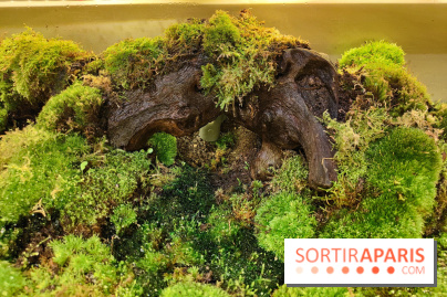 Jardiner : une exposition au cœur de la nature à vivre à la Cité des Sciences et de l'Industrie - fotor 1760436725984