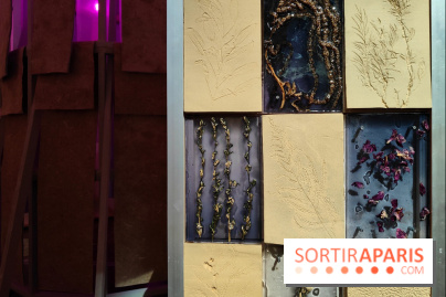 Jardiner : une exposition au cœur de la nature à vivre à la Cité des Sciences et de l'Industrie - fotor 1760436815036