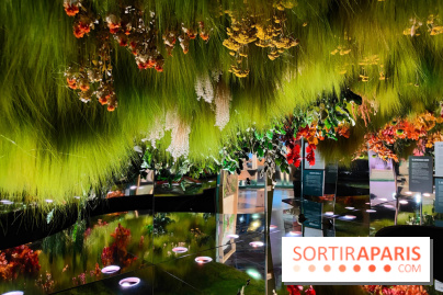 Jardiner : une exposition au cœur de la nature à vivre à la Cité des Sciences et de l'Industrie - fotor 1760436885761