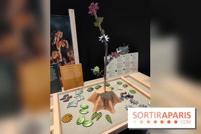 Jardiner : une exposition au cœur de la nature à vivre à la Cité des Sciences et de l'Industrie