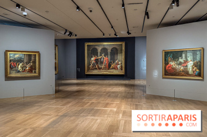 Jacques-Louis David au Louvre : l’exposition incontournable autour du peintre néoclassique - IMG 9568