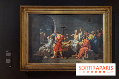 Jacques-Louis David au Louvre : l’exposition incontournable autour du peintre néoclassique - IMG 9595