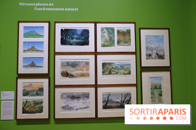 Isao Takahata - Pionnier du dessin animé contemporain, de l’après-guerre au Studio Ghibli, nos photos de l'expo