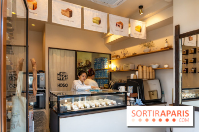 Hoso Basque, le cheesecake japonais - basque - A7C09220