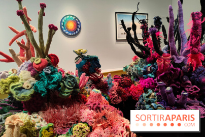 Migrations et climat : une exposition instructive au Palais de la Porte Dorée, nos photos - fotor 1760535400802