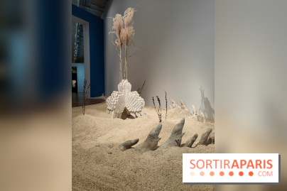 Migrations et climat : une exposition instructive au Palais de la Porte Dorée, nos photos