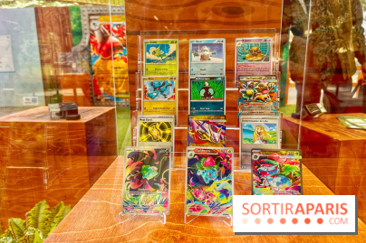 Pop-up Pokémon - IMG 6806
