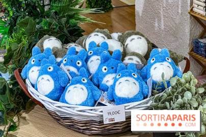 Maison Ghibli : le pop-up store officiel du studio d'animation japonais à Paris - 424013C6 565A 49E0 98E0 461362C1C581