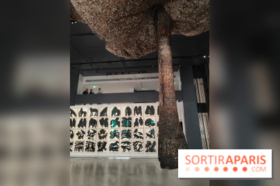 Exposition Générale : la Fondation Cartier raconte 40 ans d'expositions pour sa réouverture - fotor 1760961000607