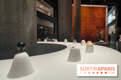 Exposition Générale : la Fondation Cartier raconte 40 ans d'expositions pour sa réouverture