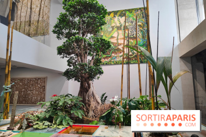 Exposition Générale : la Fondation Cartier raconte 40 ans d'expositions pour sa réouverture