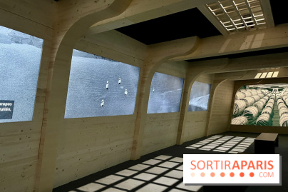 Dans le sillage de Magellan - IMG 6871