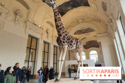 Art Basel 2025 : des installations d'art contemporain originales et gratuites à voir au Petit Palais - fotor 1761044760630