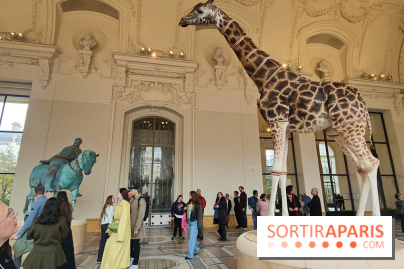 Art Basel 2025 : des installations d'art contemporain originales et gratuites à voir au Petit Palais - fotor 1761044776283