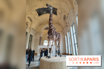 Art Basel 2025 : des installations d'art contemporain originales et gratuites à voir au Petit Palais - fotor 1761044796009