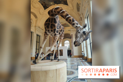 Art Basel 2025 : des installations d'art contemporain originales et gratuites à voir au Petit Palais - fotor 1761044818621