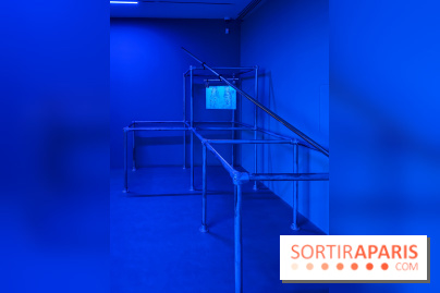 Ciel clair / eaux troubles : l’exposition de Steffani Jemison à Lafayette Anticipations à Paris - IMG 0048